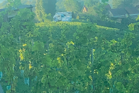 Buschenschank Legat