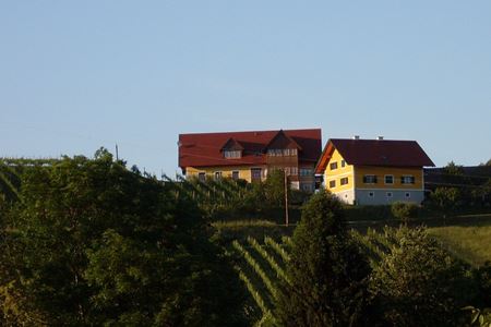 Buschenschank Kröll